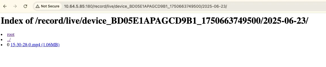 浏览器访问文件